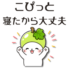 Yamanashi Muscat Cat: Everyday