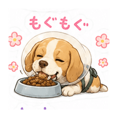 saya_20260728125159