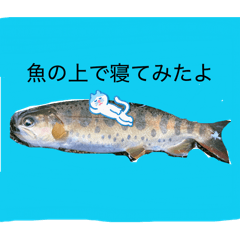 aisai_20260728114651