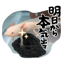 hana_20260728134951