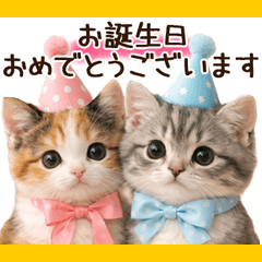 cat event not p
