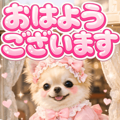 kawaii chihuahua not p