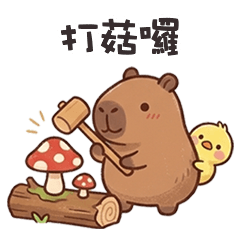 cute tiny capybara12