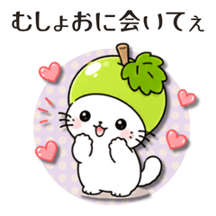 Yamanashi Muscat Cat: LOVE
