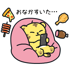【日文】Everyday with MINITEEN by SEVENTEEN
