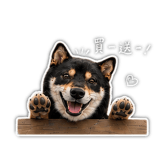 阿熊生活篇 第五彈