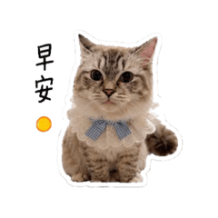 結餘的摸摸