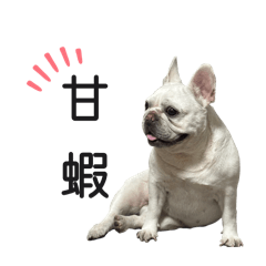 弟弟妹妹貼圖之二