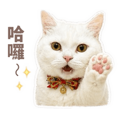咪露Milu 2