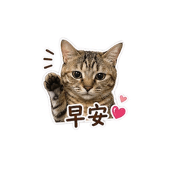 米克斯-拉拉