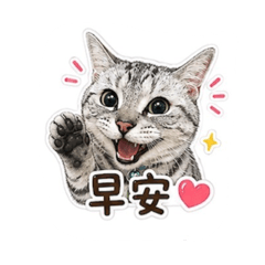 短美-三三