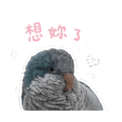 可愛草包
