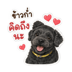 Ningning_kawkarm