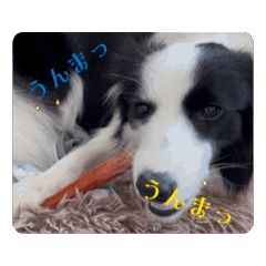 mamisuko_20260728191107