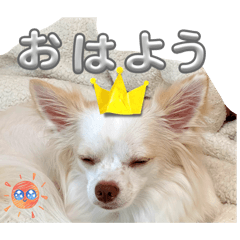 aoi_20260728183600