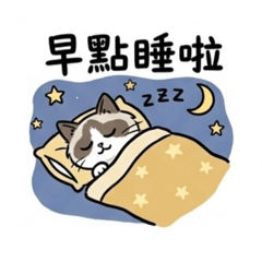 ragdoll cattt