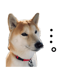 KENCHAN_20260728201001