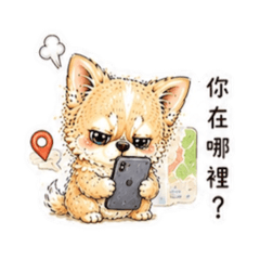 長毛吉娃娃阿吉戀愛腦系列-吃醋了!