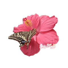 花のような素敵な1日