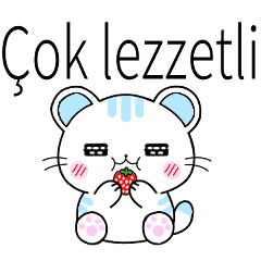 圓耳貓可愛合集-土耳其文
