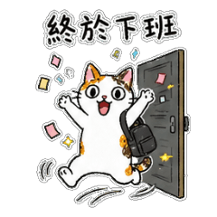 Huahua: Cute Office Cat
