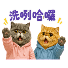 胖胖嘎樂樂2