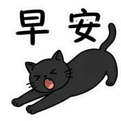 活潑的黑貓貓，
