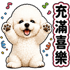 毛茸茸白貴賓:暖心祝福篇