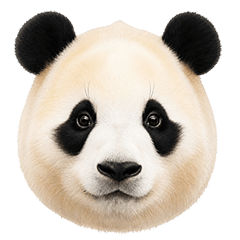 FU BABY PANDA 24