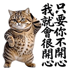 Dance Mania - Q Tabby Cat RE (FS)