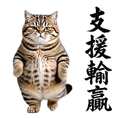 Dance Mania - Q Tabby Cat RE