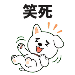 小白狗的跩跩吐槽