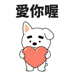 小白狗的报备日常