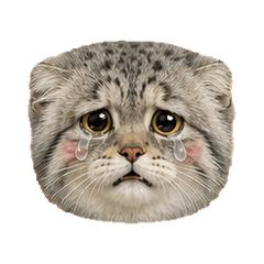 圓滾滾兔猻表情