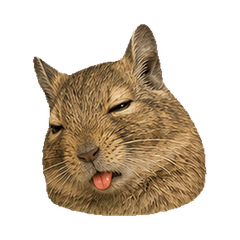 Round Degu Faces