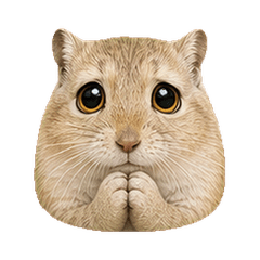 Round Gerbil Faces