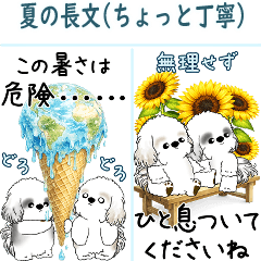 [BIG] Shih tzu (Summer. A long post.)
