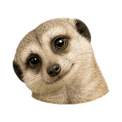 Round Meerkat Faces