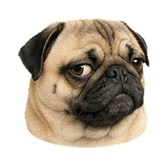 Round Pug Faces