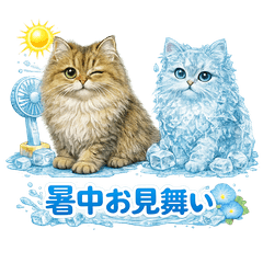 Dreams of Persian Chinchilla Goldens