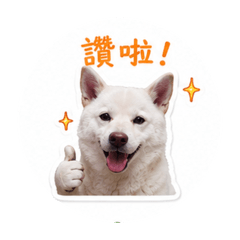 多多可可1