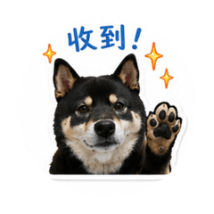 多多可可2