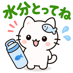 Home Cat Mii 40