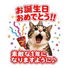 Birthday & Celebration Cat Stickers