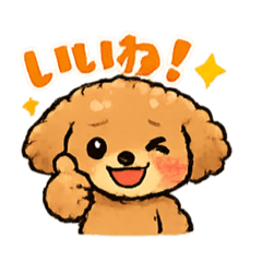 Energetic Toy Poodle for everyday use