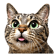 Almost Realistic Cat