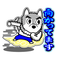 OOKAMIYO BOKU-C 19