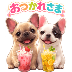 French Bulldog p not p