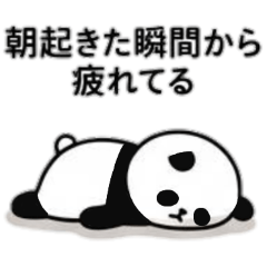 Negative Panda2
