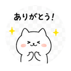 futaro_20260729110133